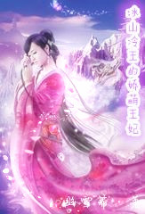 冰山冷王的娇萌王妃